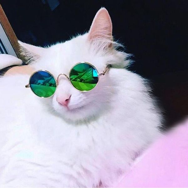 

cat toys cool pet sunglasses funny glasses pograph tool kitty kitten decor a03