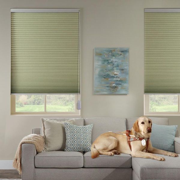 

blinds yellowish full shading,noise reduction,insulated honeycomb roller window