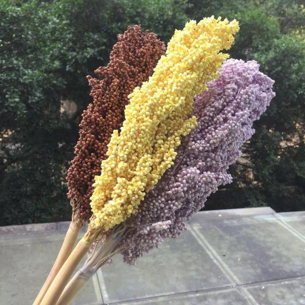 

decorative flowers & wreaths 1pcs/40cm,natural grade a preserved sorghum ear bouquet,eternelle display for wedding home xmas decoration acce