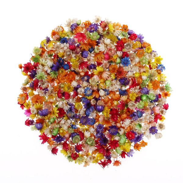 

200pcs/1 box real dried flowers for candle epoxy resin pendant necklace jewelry making craft diy accessories decorative & wreat wreaths
