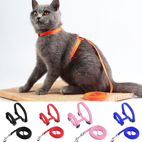 

cat collars & leads pet harness leash adjustable breakaway nylon strap collar with for kitten puppy small dogs walking