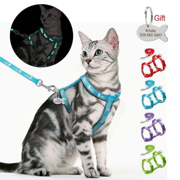 

cat collars & leads nylon harness and leash set with customized id tag cats kitten harnesses anti lost name engraving blue red