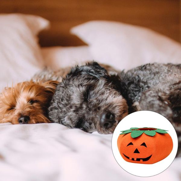 

cat costumes funky pet suit dog collar pumpkin clothes for