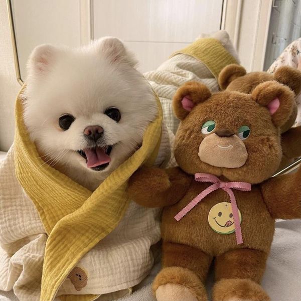 

kennels & pens pet warm blanket cotton four-layer gauze cushion embroidery bear breathable dog blankets bed for supplies