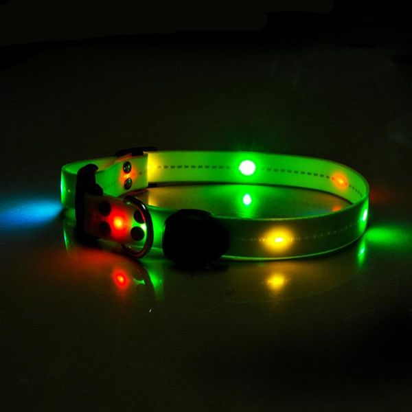 

pet rechargeable light collars usb dog collar night glowing luminous led safety flashing glow & leashes