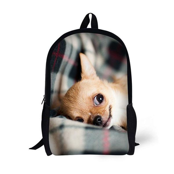 

backpack pet kitten bag and for young boy girl attending school cartoon teenager
