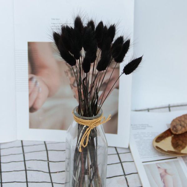 

20pcs dried flowers natural tail grass bunch plants for home decorations decor 55cm lagurus ovatus plantas artificiale decorative & w wreath