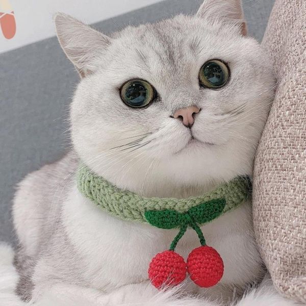 

cat costumes pet collars handmade cotton knitted cute cherry pendant decorative necklace decor supplies