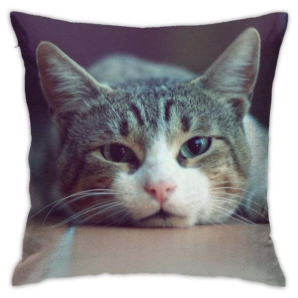

pillow case cute cat pillowcase decorative sofa cushion bed cover home decor car