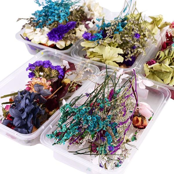 

decorative flowers & wreaths 1 box natural dried flower dry plants real candle epoxy resin necklace jewelry diy making craft ac