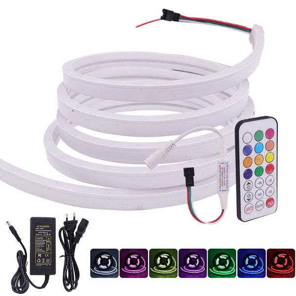 

strips ws2812b rgb smart led lights dc5v neon light with remote pixel individual addressable strip flexible silica gel