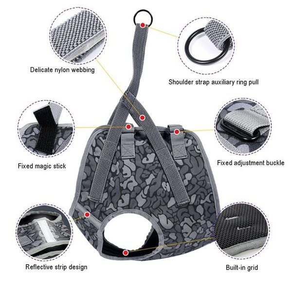 

dog harness collar printing explosion-proof vest comfortable lining anti-strangle traction rope set outdoor walking pet supplies collars & l