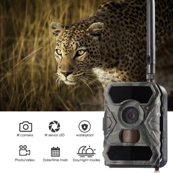 

hunting cameras trail camera 12mp 1080p wild surveillance ir night vision wildlife scouting s800g po trap track