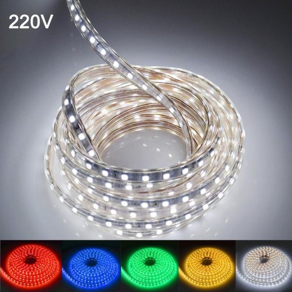 

strip light smd led tape waterproof ribbon ac 220v flexible for living room outdoor home decoration strips
