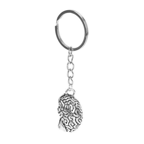 

keychains brain keychain alloy smart brainiac iq key ring fob chain human, Silver