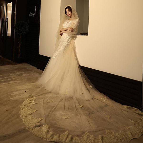 

bridal veils real po champagne wedding 3 meters two layers long cathedral length lace appliqued tulle veil with combs 2021, Black