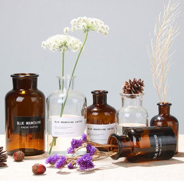 

glass vase home mini hydroponic plant bottle living room decoration dried flower transparent vases