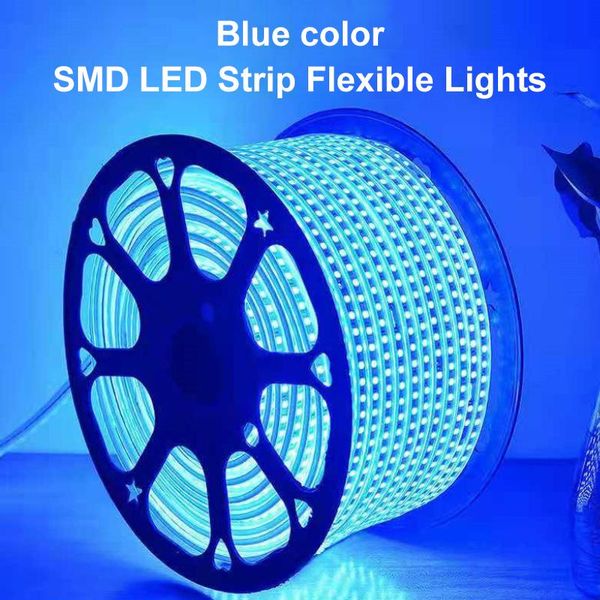

strips smd led strip flexible light 60leds/m outdoor waterproof tape neon ribbon 220v with power plug 1m 5m 10m 15m 20m
