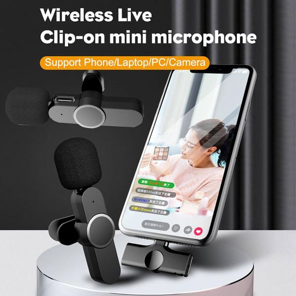 

microphones wireless microphone 2 channels professional handheld mic for party karaoke church show meeting live high sensibility