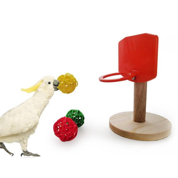 

other bird supplies parrot basketball toy set small training intelligence with 3pcs rattan balls mini stand dorakitten