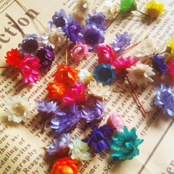 

decorative flowers & wreaths small star dried flower heads diy craft epoxy resin material cover daizy 1g ball pendant filler jewelry making