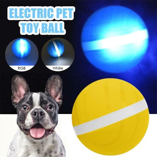 

electric magic roller ball puppy dog cat automatic playmate jumping pet toy d6 toys