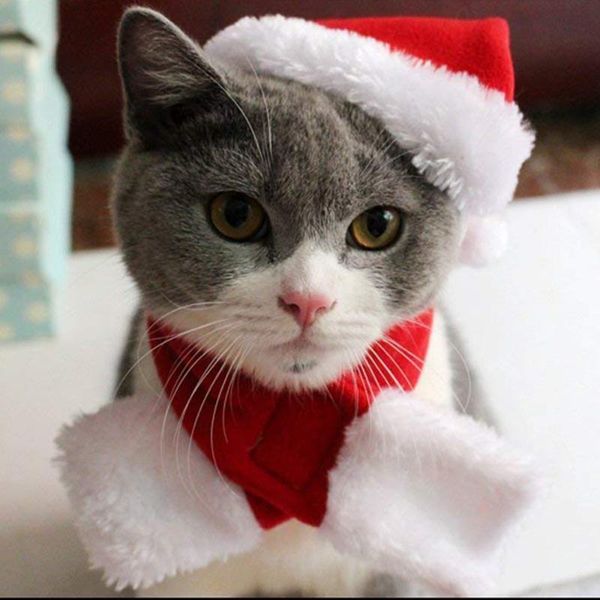 

dog apparel pet cat christmas hat scarf holiday dress year cloak clothes