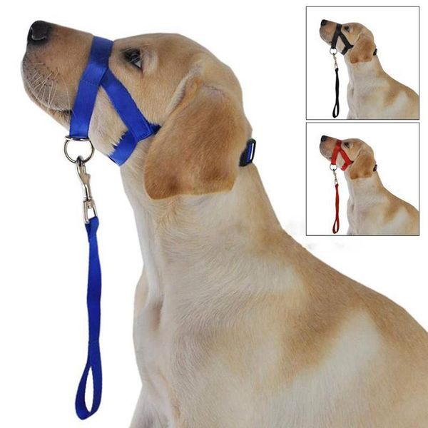 

dog collars & leashes fashion pet head collar padded gentle leash training pulling s-xl supplies