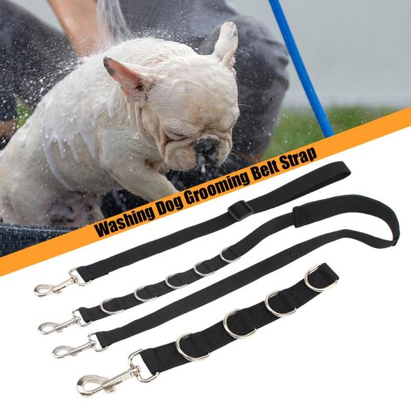 

cat collars & leads dog grooming belt strap pet supplies adjustable bathing hair cutting harness collar d-rings band size