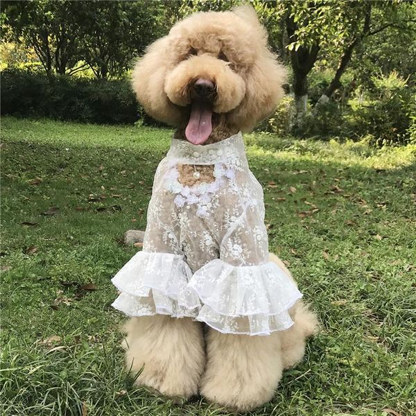 

dog apparel pets products fashion big dogs clothes for giant poodle