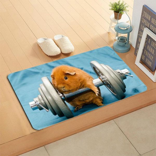 

carpets custom guinea pig door mat hallway balcony kitchen mats anti-slip rug living room bathroom carpet doormats bath