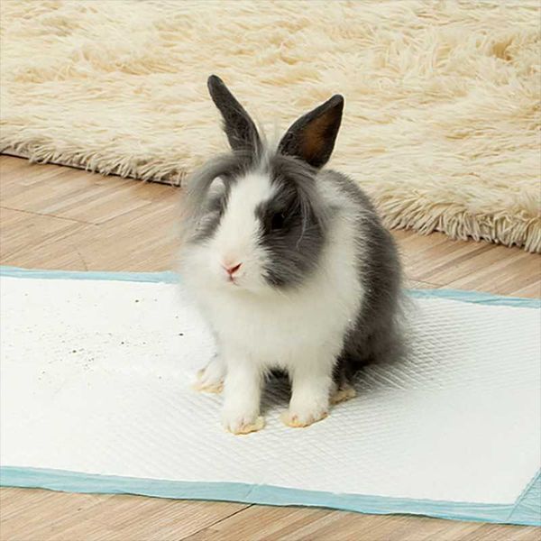 

dog apparel diaper pad thickening deodorant absorbent diapers training special pet