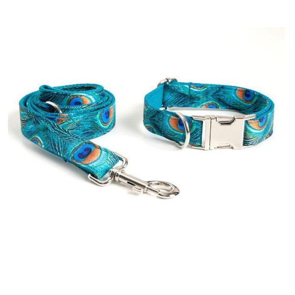 

dog collars & leashes 2021 collar fashion for puppy leash dogs pet products