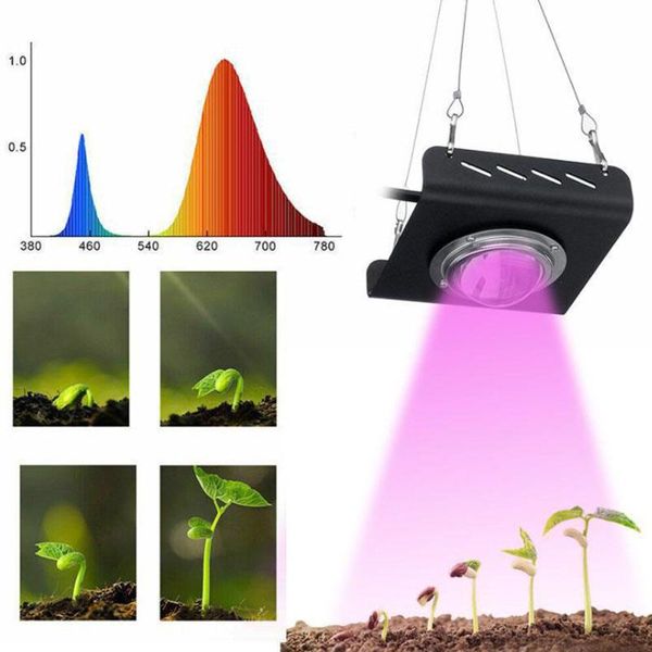 

phytolamp full spectrum plant lighting 50w growth light for indoor greenhouse hydroponic plants growing grow lights