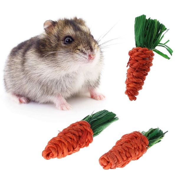 

3.cuts carrot former rabbit hamster chew bite toys cavia dental cleaning toys
