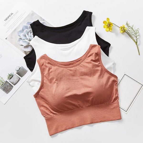 

yoga outfit sports bra for women solid fitness pad girl active wear workout running sportswear breathable soft size