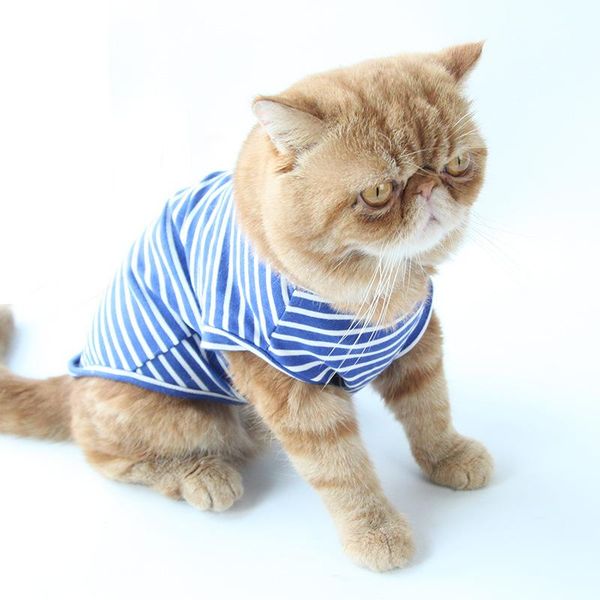 

cat costumes spring and summer recreational styles pet clothing simple breathable classic striped t-shirt base shirts costume