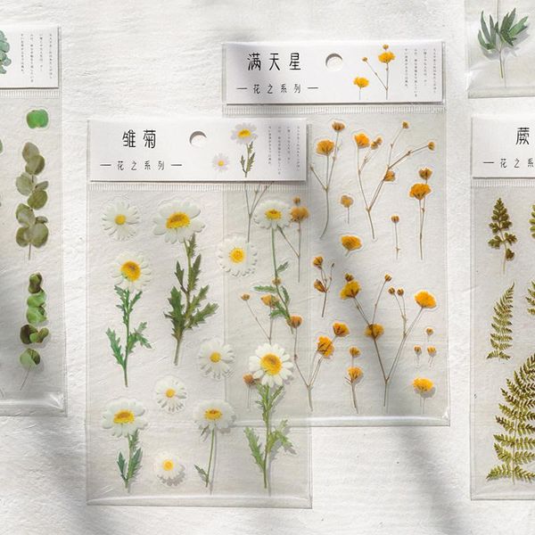 

gift wrap 11 designs transparent flower pet material stickers set rose daisy diy scrapbooking words book daily journal decoration