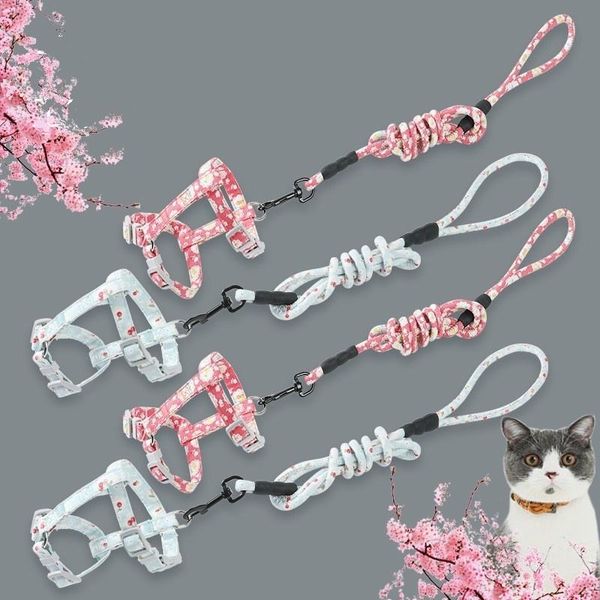 

cat traction rope chain walk pet chest strap walking lead leash dog collars & leads