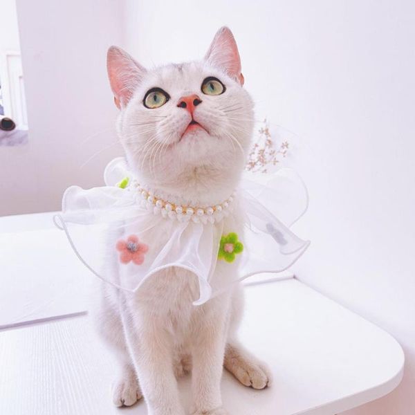 

cat costumes cute pet dogs kitten round bib cats scarf skin-friendly decorative