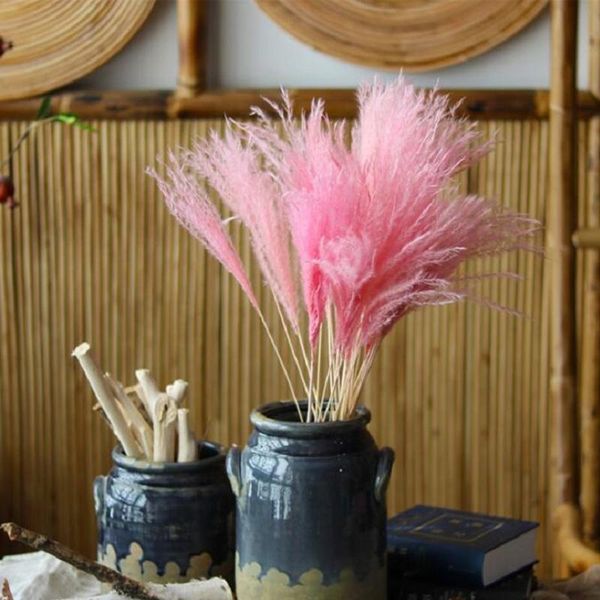 

decorative flowers & wreaths 15pcs/bunch 3 colors natural dried small pampas wedding home decor reed grass phragmites bouquets