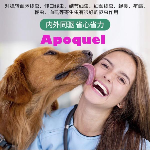 

apoquel for dogs 5 pills dog apparel