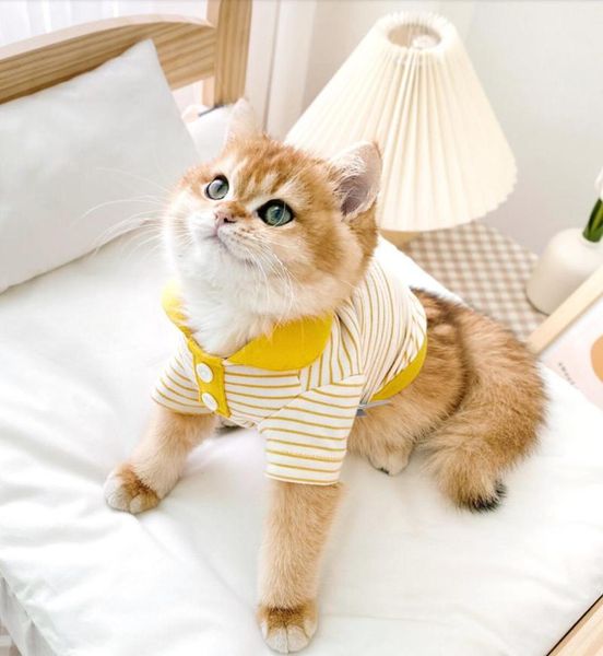 

cat clothes small cats vest casual warm kitten shirt costumes