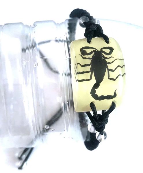 

12 pcs real black scorpion glow in dark bracelet charming bangle