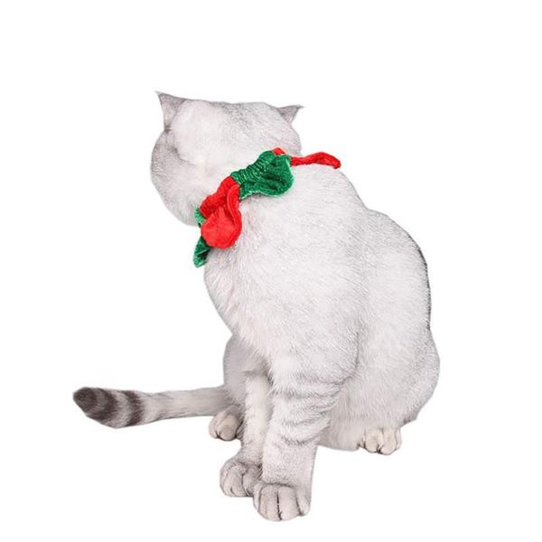 

cat costumes pet costume cute christmas red and green stitching jewelry collar dress up clothes mascotas accessories
