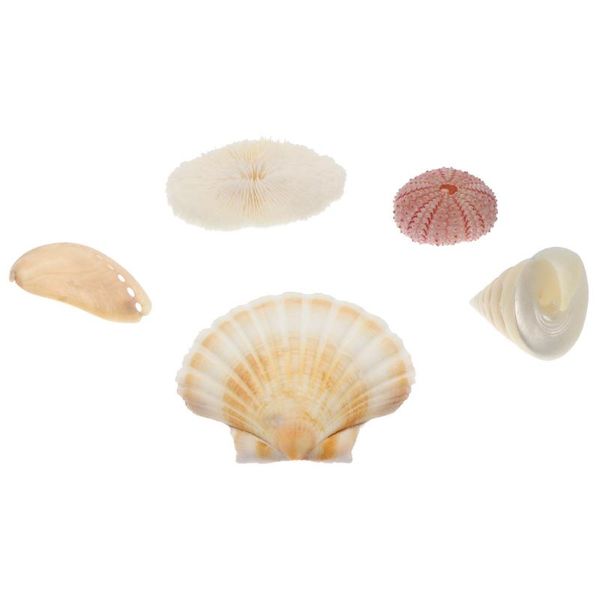 

5pcs creative po props sea snails ocean decorative shells beach conch novelty items