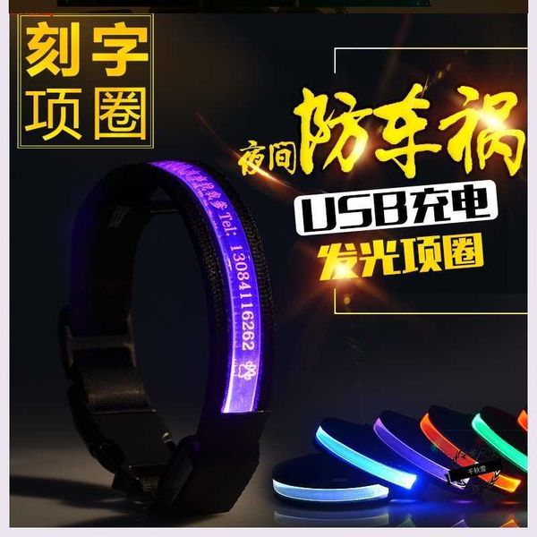 

factory luminous lettering dog tag lose proof collar at small and medium sized pet night light walking dog lamp xkm4