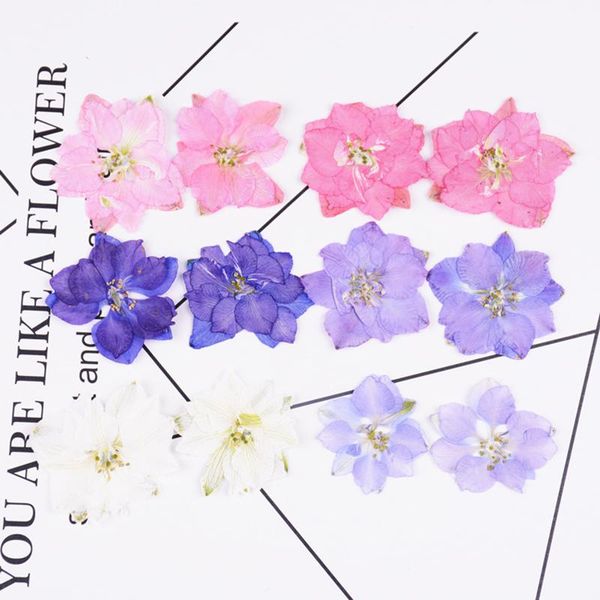 

decorative flowers & wreaths 12pcs/bag flying swallow flower thousand bird original color drip glue dried mobile phone case