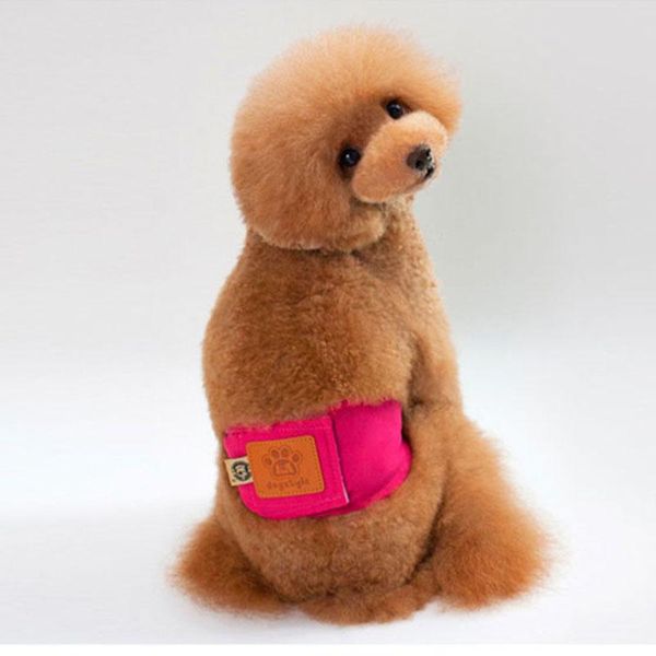 

dog apparel male belly band wraps washable diapers for small medium large dogs blue red green orange s m l xl spot stock fast