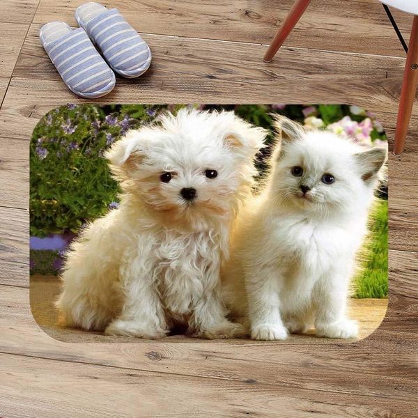 

bath mats soft suede bathroom anti-skid carpet puppy cat living room floor rugs customzied mat doormat diy entrance door